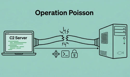 /../assets/images/featured/poisson.png
