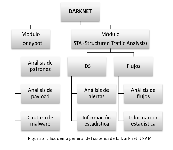 UNAM-Darknet Modules